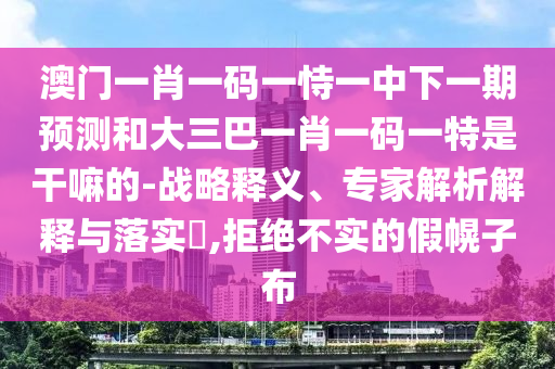 澳門一肖一碼一恃一中下一期預測和大三巴一肖一碼一特是干嘛的-戰(zhàn)略釋義、專家解析解釋與落實?,拒絕不實的假幌子布