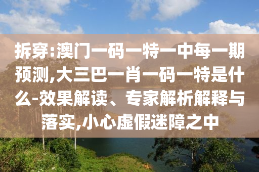 拆穿:澳門一碼一特一中每一期預測,大三巴一肖一碼一特是什么-效果解讀、專家解析解釋與落實,小心虛假迷障之中