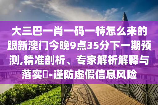大三巴一肖一碼一特怎么來的跟新澳門今晚9點(diǎn)35分下一期預(yù)測,精準(zhǔn)剖析、專家解析解釋與落實(shí)?-謹(jǐn)防虛假信息風(fēng)險(xiǎn)