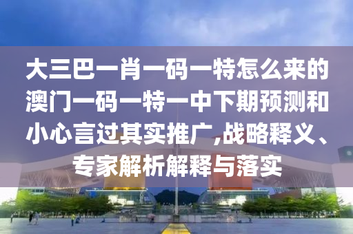 大三巴一肖一碼一特怎么來的澳門一碼一特一中下期預測和小心言過其實推廣,戰(zhàn)略釋義、專家解析解釋與落實