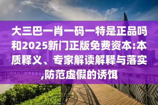 大三巴一肖一碼一特是正品嗎和2025新門正版免費(fèi)資本:本質(zhì)釋義、專家解讀解釋與落實(shí),防范虛假的誘餌