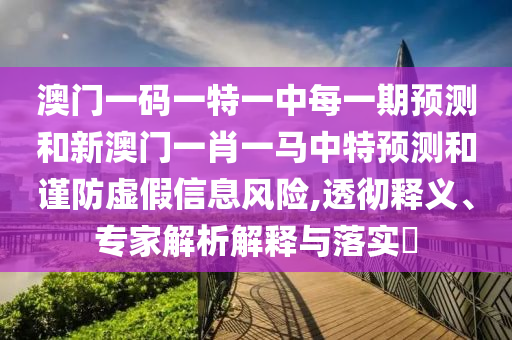 澳門一碼一特一中每一期預測和新澳門一肖一馬中特預測和謹防虛假信息風險,透徹釋義、專家解析解釋與落實?