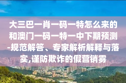 大三巴一肖一碼一特怎么來的和澳門一碼一特一中下期預(yù)測-規(guī)范解答、專家解析解釋與落實(shí),謹(jǐn)防欺詐的假營銷霧