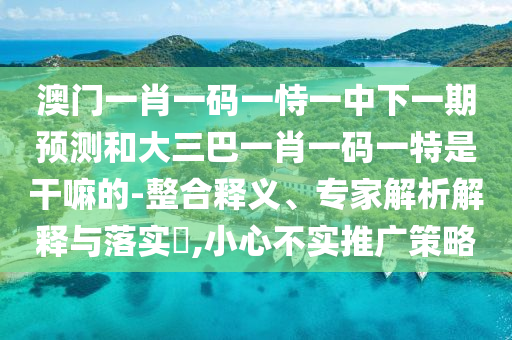 澳門一肖一碼一恃一中下一期預(yù)測(cè)和大三巴一肖一碼一特是干嘛的-整合釋義、專家解析解釋與落實(shí)?,小心不實(shí)推廣策略