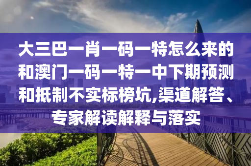 大三巴一肖一碼一特怎么來的和澳門一碼一特一中下期預(yù)測和抵制不實標榜坑,渠道解答、專家解讀解釋與落實