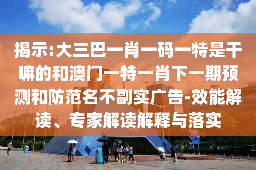 揭示:大三巴一肖一碼一特是干嘛的和澳門一特一肖下一期預(yù)測(cè)和防范名不副實(shí)廣告-效能解讀、專家解讀解釋與落實(shí)