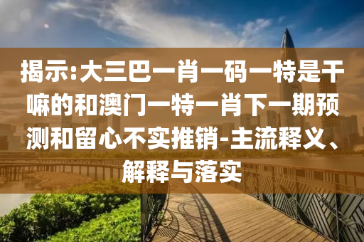 揭示:大三巴一肖一碼一特是干嘛的和澳門一特一肖下一期預(yù)測(cè)和留心不實(shí)推銷-主流釋義、解釋與落實(shí)