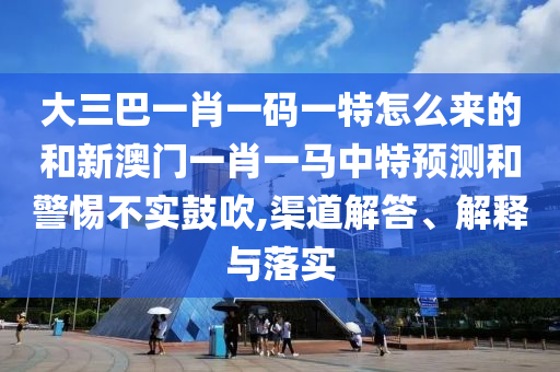 大三巴一肖一碼一特怎么來的和新澳門一肖一馬中特預測和警惕不實鼓吹,渠道解答、解釋與落實