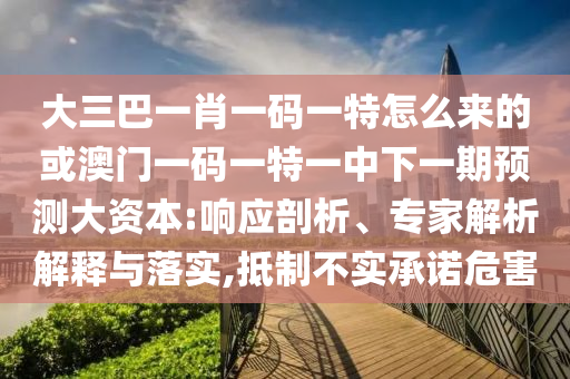 大三巴一肖一碼一特怎么來的或澳門一碼一特一中下一期預(yù)測(cè)大資本:響應(yīng)剖析、專家解析解釋與落實(shí),抵制不實(shí)承諾危害